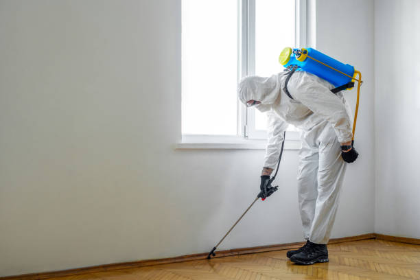 Best Residential Pest Control  in Clayton, NJ